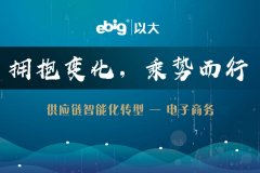 《供應(yīng)鏈智能化轉(zhuǎn)型，以大驅(qū)動》—— 電子商務(wù)篇